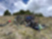 WhatsApp Image 2025-11-12 at 3.46.56 PM.jpeg