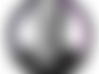 Traub Capital Partners Adds Sean Reilly as Chief Financial Officer