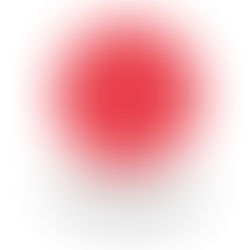 高野口 Life Textile 感謝祭