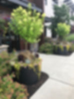 Streetscape Projects with Self Watering Reservoir Planters