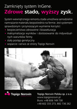 2reklama_TOPIGS_Norsvin