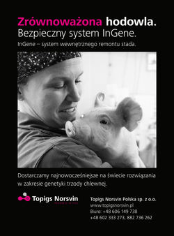 reklama_TOPIGS_Norsvin