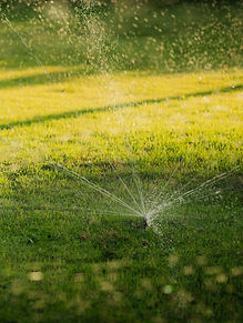 sprinkler-4_edited.jpg