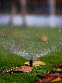 sprinkler-2.jpg