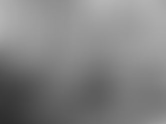 The Haunting of Yellow Birch Ravine