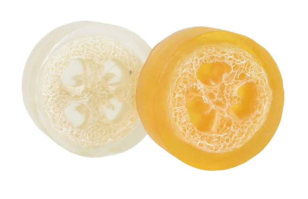 Thumbnail: Spongeables Summer Ready Pre-tan Exfoliator, The Soap is in The Sponge, Coconut