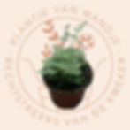 Cheilantes lanosa
