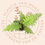 Thumbnail: Cyathea celsa