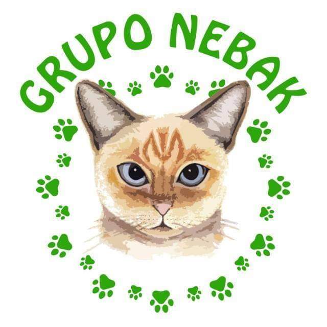 Foto del escritor: gruponebak
