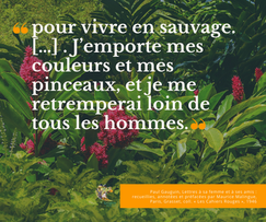 Campagne Publicitaire | Agence de publicité  | My Team 2 Com Martinique