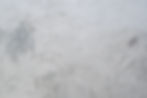 FONDO LOGO.jpg