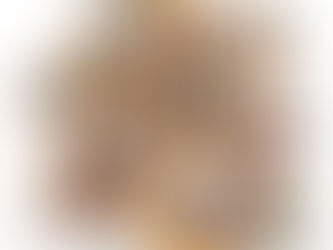 Inauguration de la bibliothèque commune