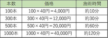 増毛価格表.jpeg