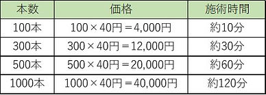 増毛価格表.jpeg