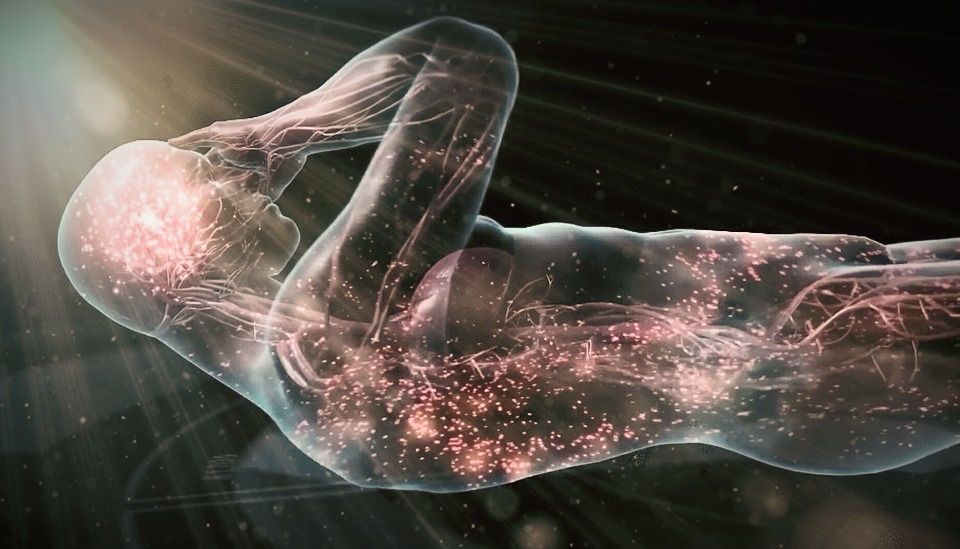 You Attract what you Are - Everything is energy Blog by Earth Star Transmissions www.earthstartransmissions.com