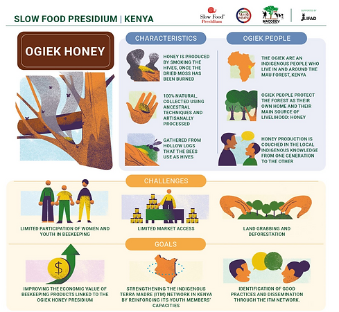 Schermata 2022-06-15 alle 00.00.53.png