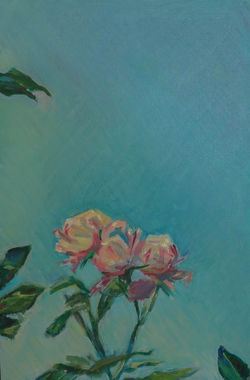 rose blue sky