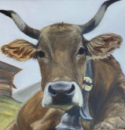 Kurt's cows- me too