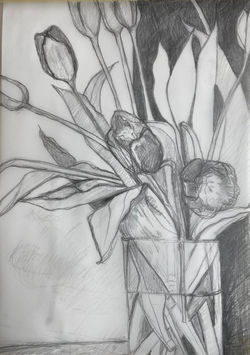 tulip sketch 1