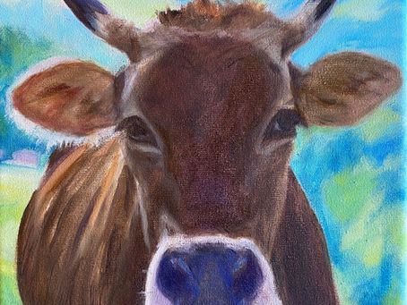 cows 1