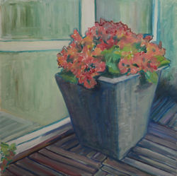balcony in bloom 3