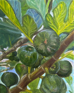 the time of figs 2