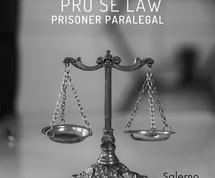 cover book pro se law.png
