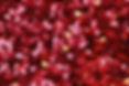 Heart Confetti