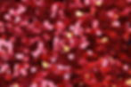 Coriandoli di cuore