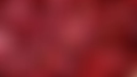 Il solo grande maestro