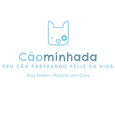 leandro w santos como profissionalizar minha empresa