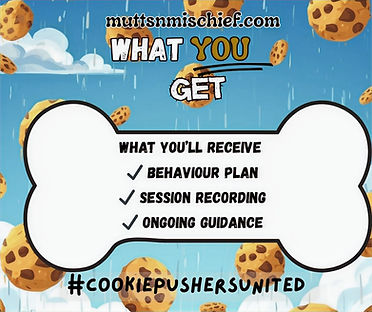 A blue sky cloudy background, with cookies falling from the sky, text at the bottom reads *Cookie Pushers United. 