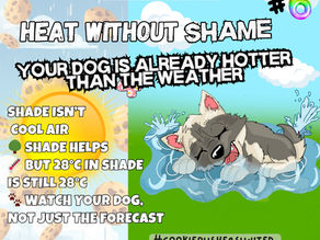 Heat Without Shame No 6