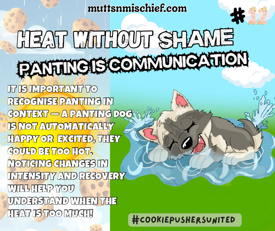 Heat Without Shame No 12