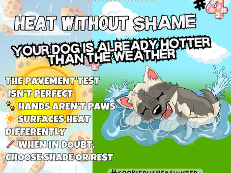 Heat Without Shame No 4