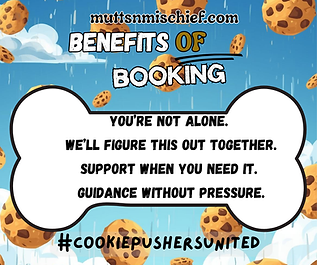 A blue sky cloudy background, with cookies falling from the sky, text at the bottom reads *Cookie Pushers United. 