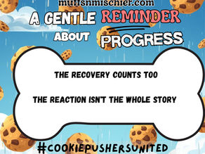 A Gentle Reminder About Progress — Recovery counts
