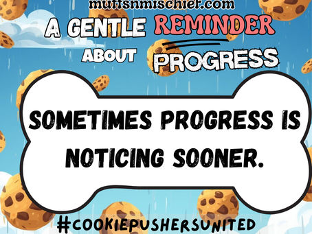 A Gentle Reminder About Progress