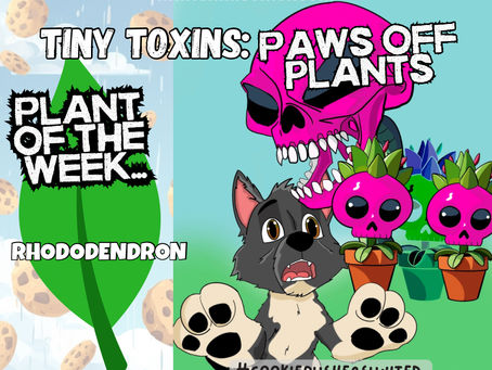 Tiny Toxins