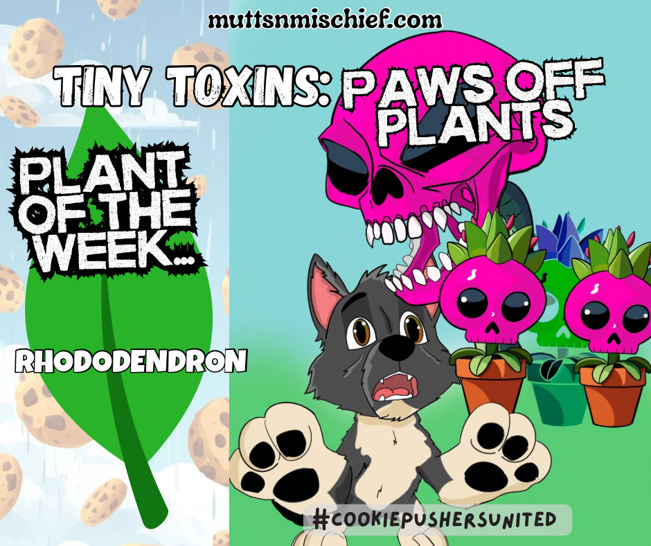 Tiny Toxins