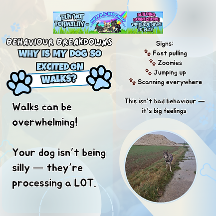 Website graphics (27).png