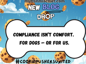 The True Cost of Being the “Helpful” Professional