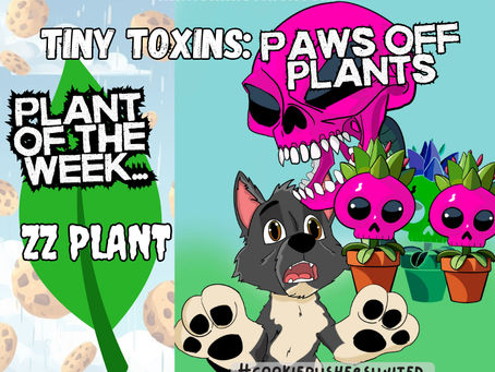 Tiny Toxins: ZZ Plant