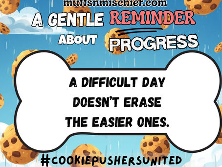 Gentle Reminder About Progress