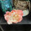 Thumbnail: Round Kudzu Vine Basket  Small