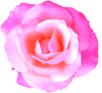 Rosa-gaucha-recortada-roxa.gif