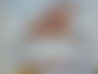 第９４回　               　　　　　　　　　　　　  学校読書ボランティアの会１２月例会