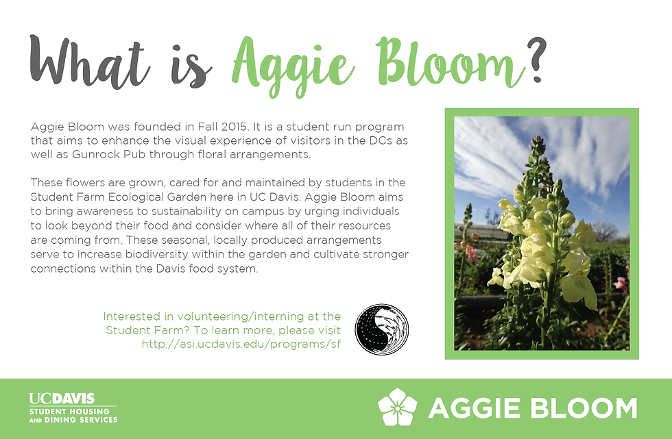 Aggie Bloom Informational Napkin Insert 1