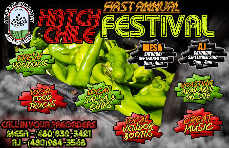 hatch festival ad.jpg