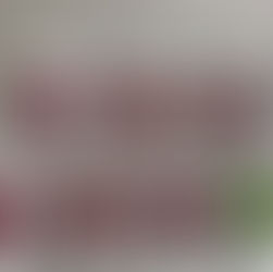 Dinoa Perú en el Evento Cuidafarma de Rímac Seguros